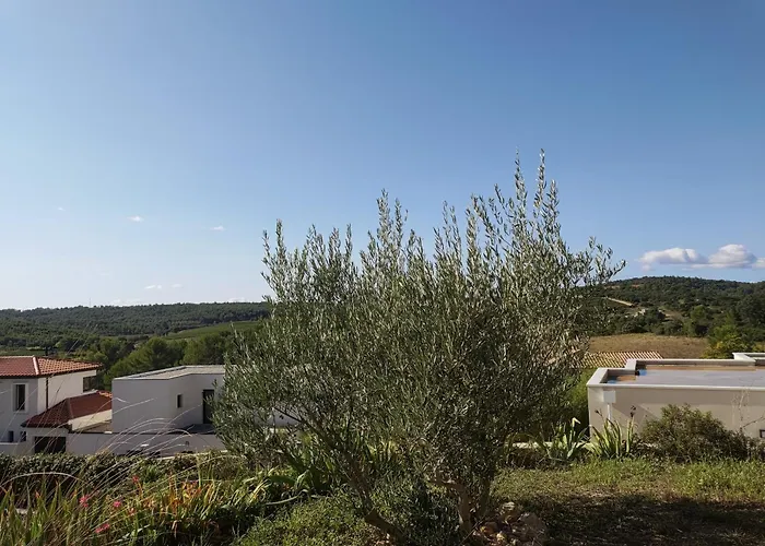 Studio Secteur Pic Saint Loup