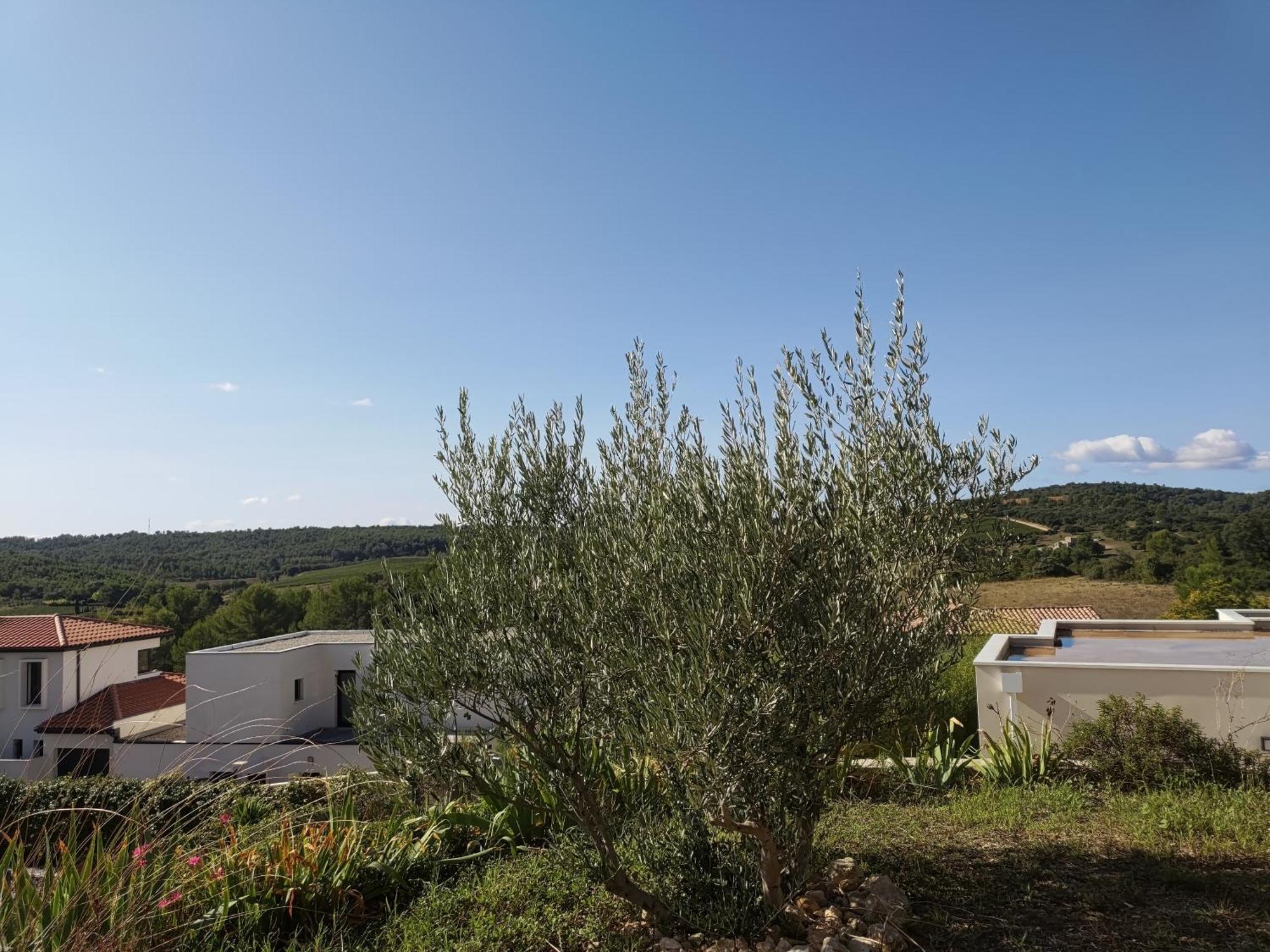 Apartment Secteur Pic Saint Loup *